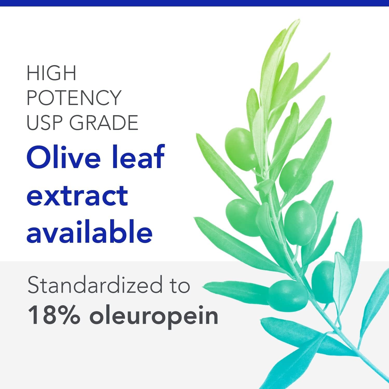 Olivirex High Potency Olive Leaf Combination by Biocidin - Immune Support Supplement (60Ct)