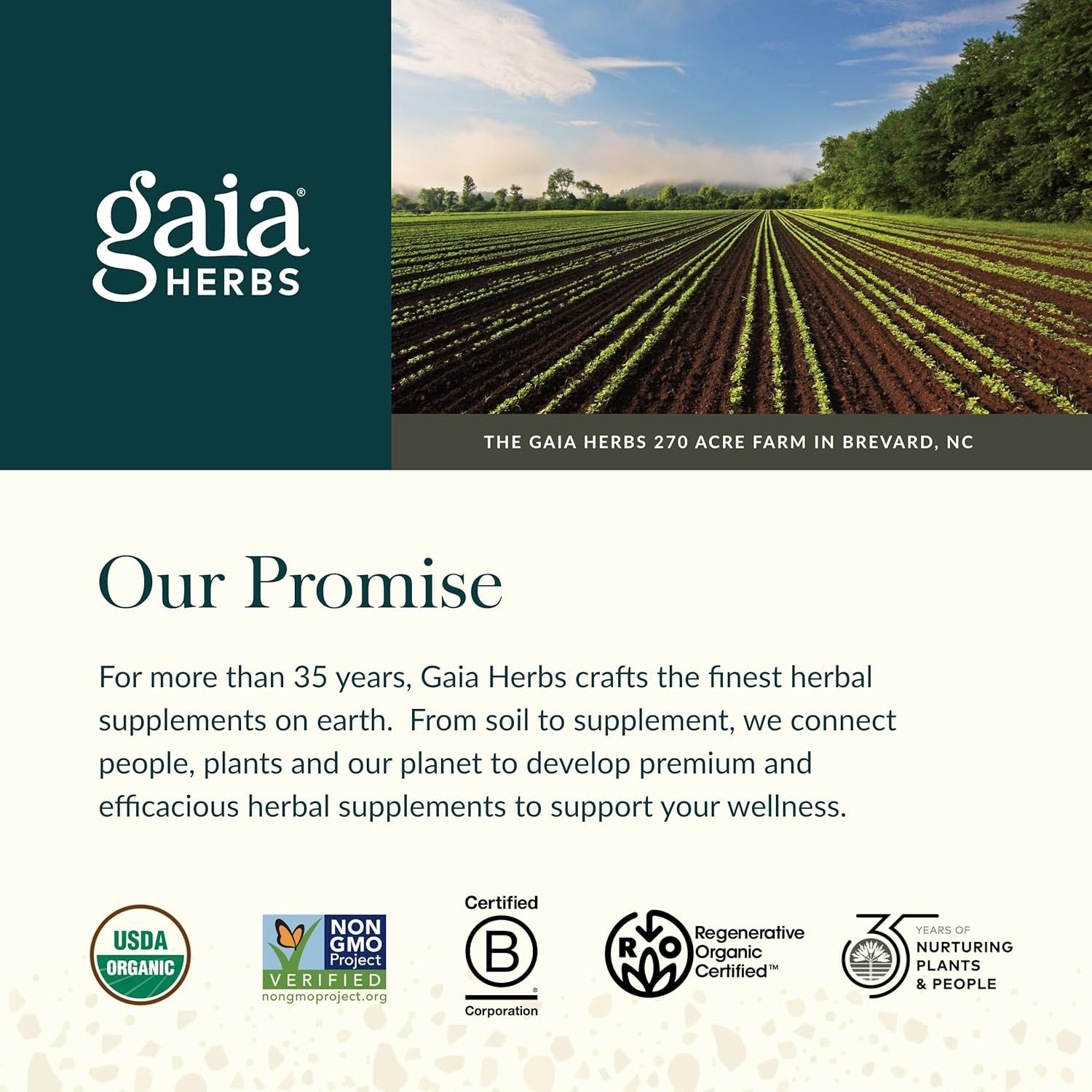 Gaia Herbs Mental Alertness - Brain Support Supplement to Help Maintain Focus & Memory* 60 Capsules