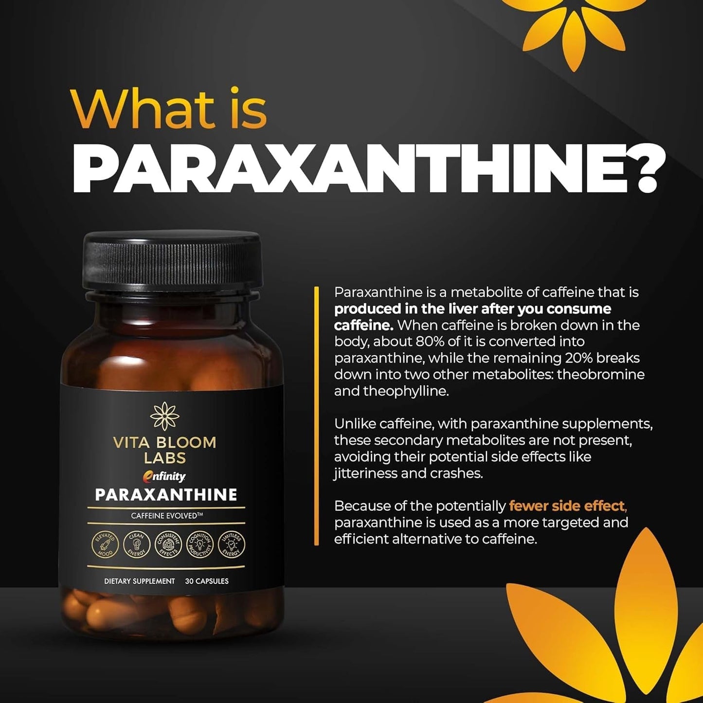Enfinity Paraxanthine Capsules, Clean Energy & Focus, Caffeine Alternative | 200 Mg 30 Capsules