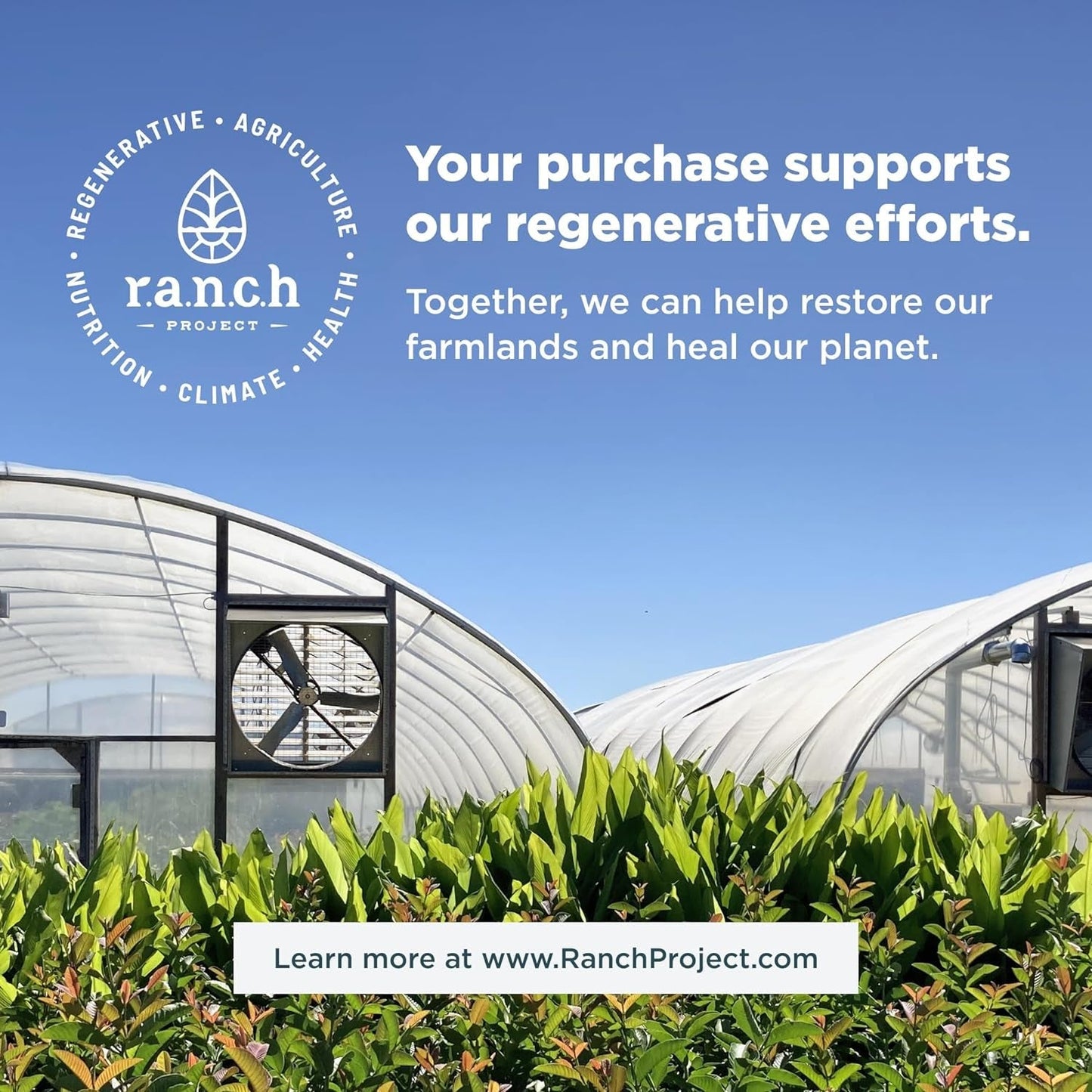 Ancient Nutrition Regenerative Organic Certified Focused Brain Capsules, 90 Count