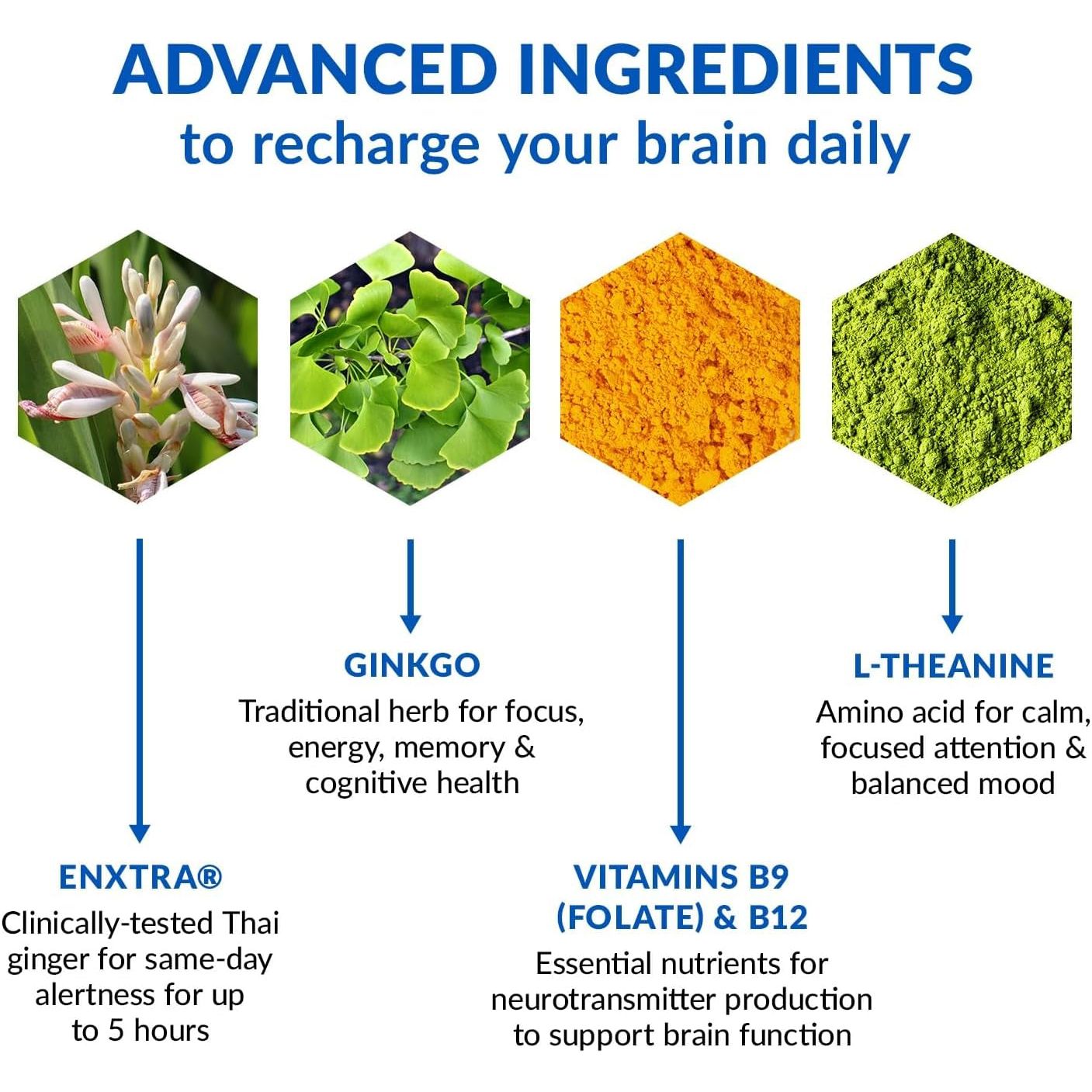 Biotrust Brain Bright – Daily Nootropic Boost for Focus, Concentration, Mental Clarity 30 Servings