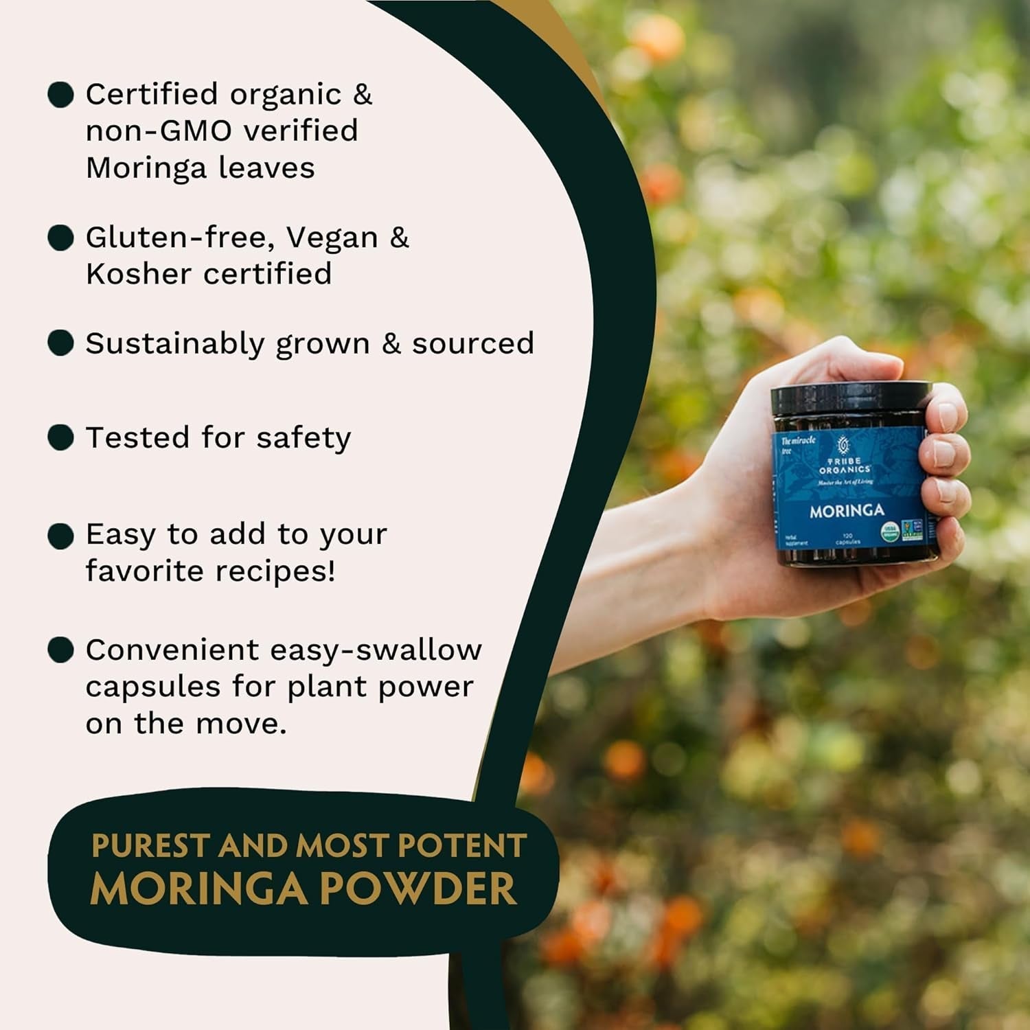 TRIBE ORGANICS 1800Mg Organic Moringa Oleifera Powder for Energy | Joints | Brain Function - 120 Vegan Capsules