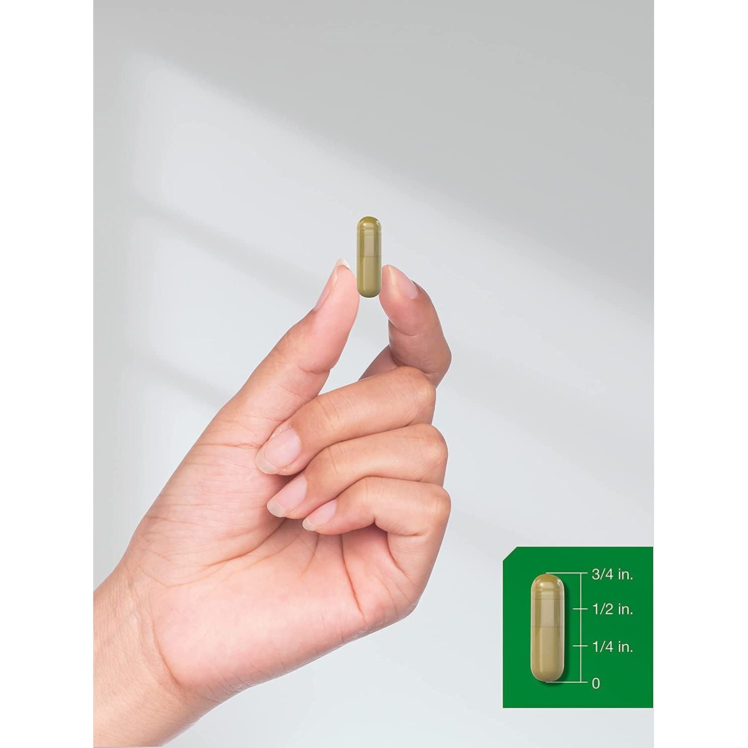 Horbäach Horsetail Herb Capsules 800Mg | 180 Count