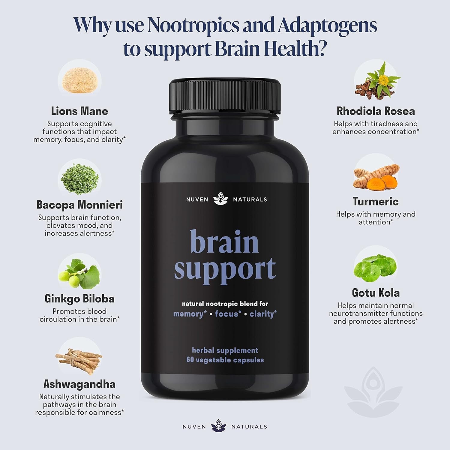 Brain Support Supplement - Natural Memory and Focus Supplement - 60 Capsules