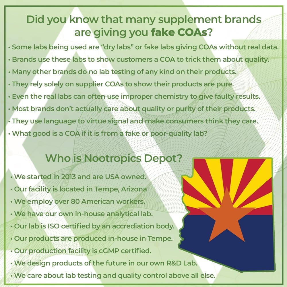 Nootropics Depot Ginkgo Biloba Extract Tablets | 120Mg | 90 Count 