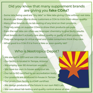 Nootropics Depot Ginkgo Biloba Extract Tablets | 120Mg | 90 Count 