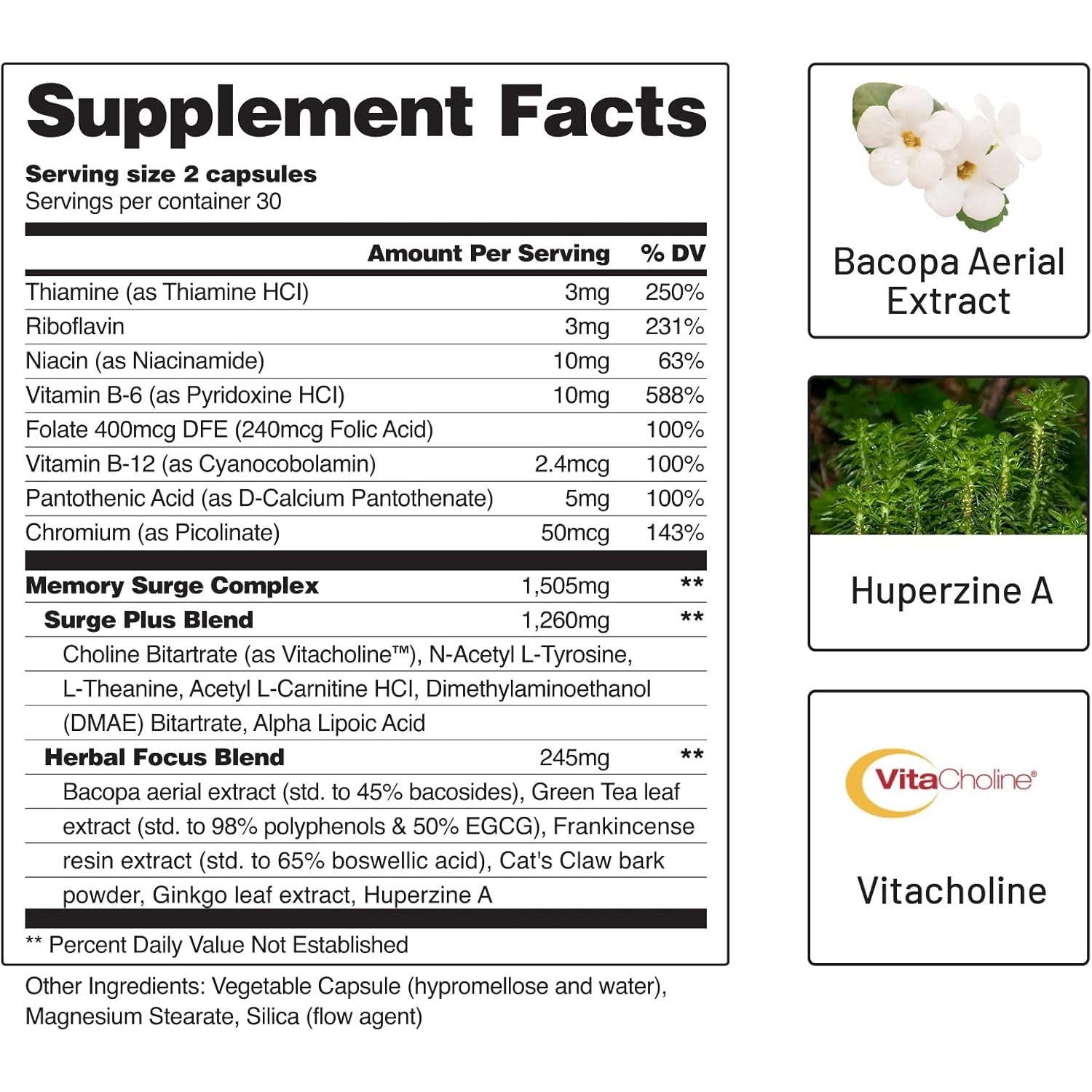 Snap Supplements Brain Booster Nootropics Supplement for Memory, Focus & Clarity, 60 Capsules