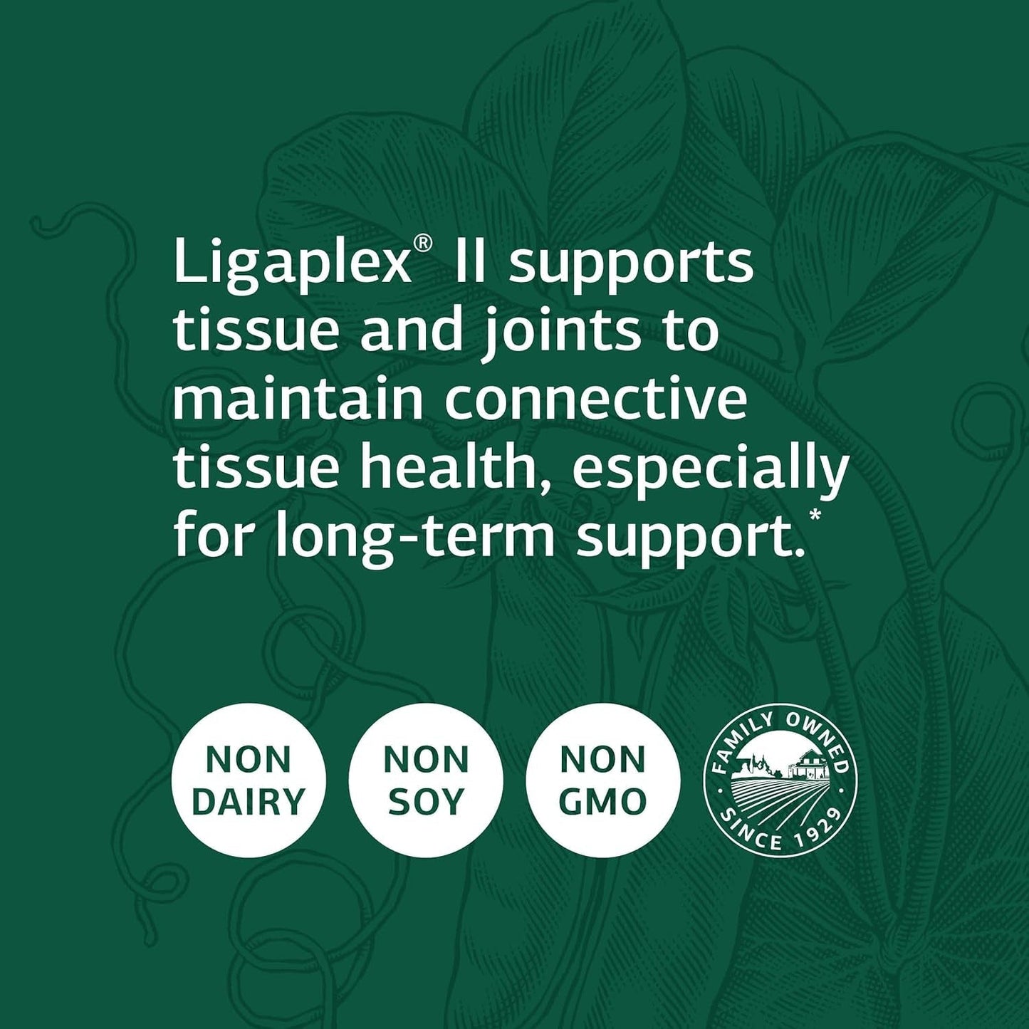 Standard Process Ligaplex II - Manganese Supplement with Vitamin B12, a & D - Skeletal System & Joint Support Supplement - 150 Capsules