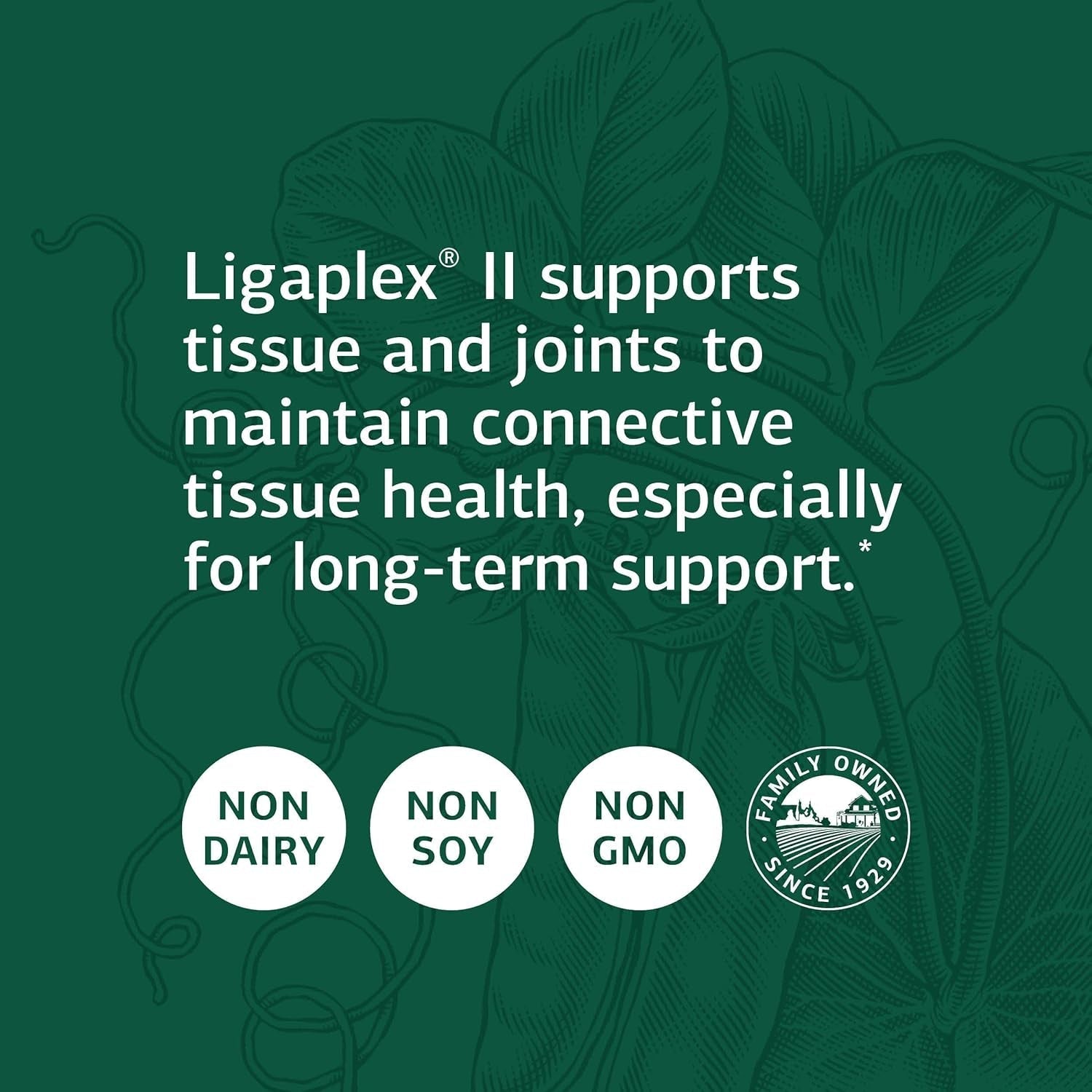 Standard Process Ligaplex II - Manganese Supplement with Vitamin B12, a & D - Skeletal System & Joint Support Supplement - 150 Capsules