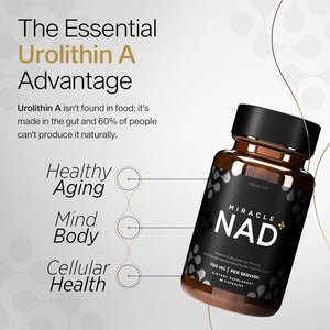 Miracle NAD with Urolithin a Supplement , Trans Resveratrol - Healthy-Aging, Cellular Energy & Repair - 60 Capsules