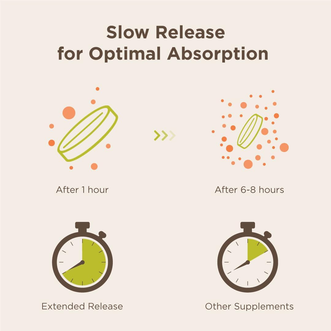 ENDUR-VM - without IRON – Sustained-Release Daily Multi-Vitamin - 60 Tablets