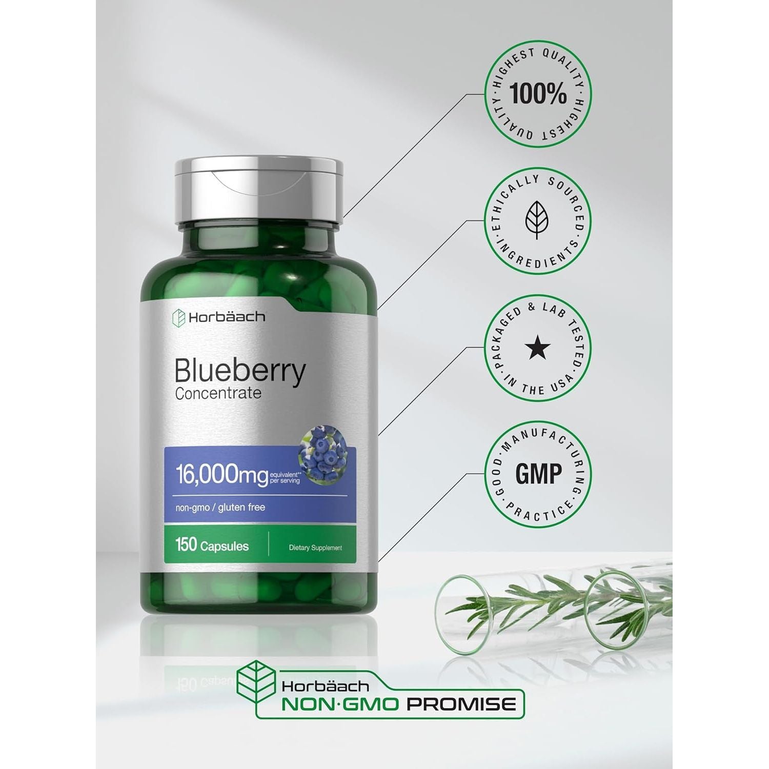 Horbäach Blueberry Extract Supplement | 150 Capsules | Blueberry Concentrate | Non-Gmo, Gluten Free