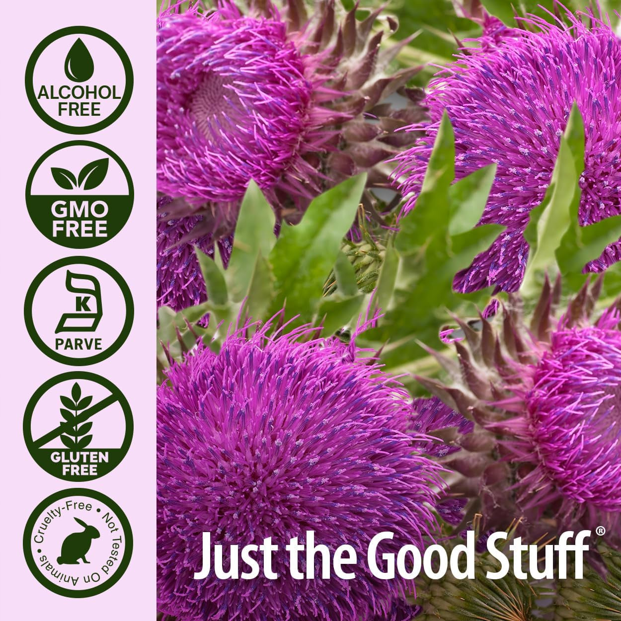 Nature'S Answer Milk Thistle 2 Ounce Extract - Liver Support Supplement for Everyone - Made in USA