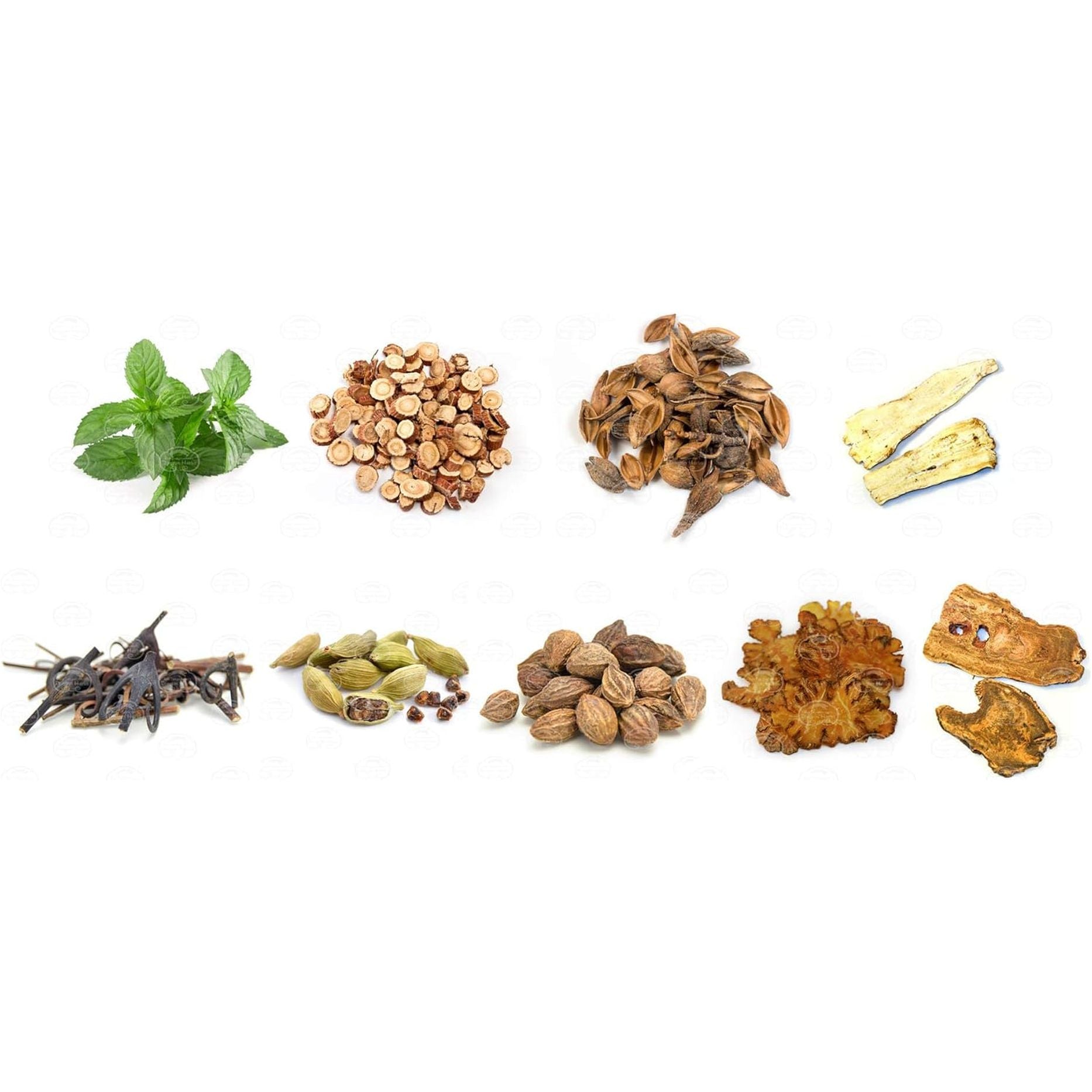 Dragon Herbs - Golden Voice Capsules - 100 Capsules, 500 Mg Each