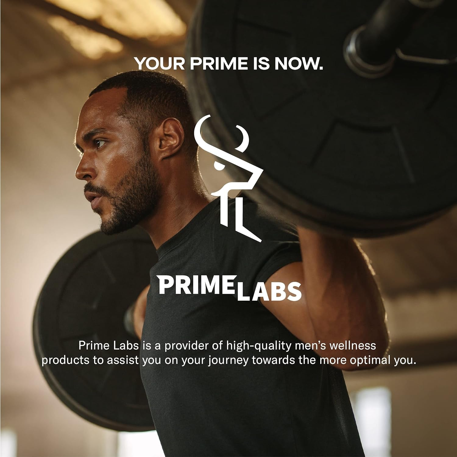 Prime Labs Men'S Testosterone Booster - Stamina, Endurance, & Strength - 60 Caplets