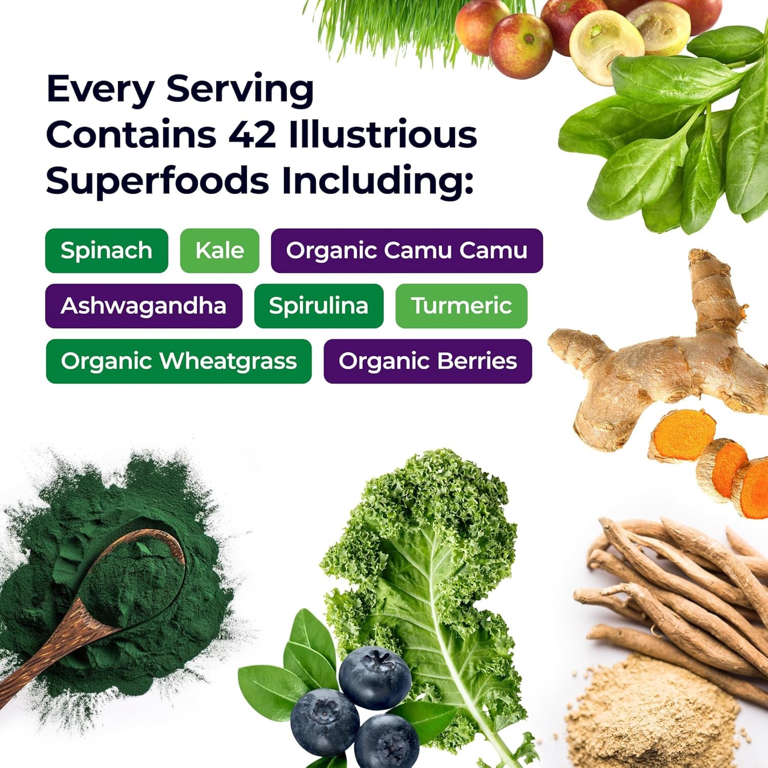 Paradise Herbs, ORAC Energy Greens Powder, 120 Servings