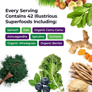 Paradise Herbs, ORAC Energy Greens Powder, 120 Servings