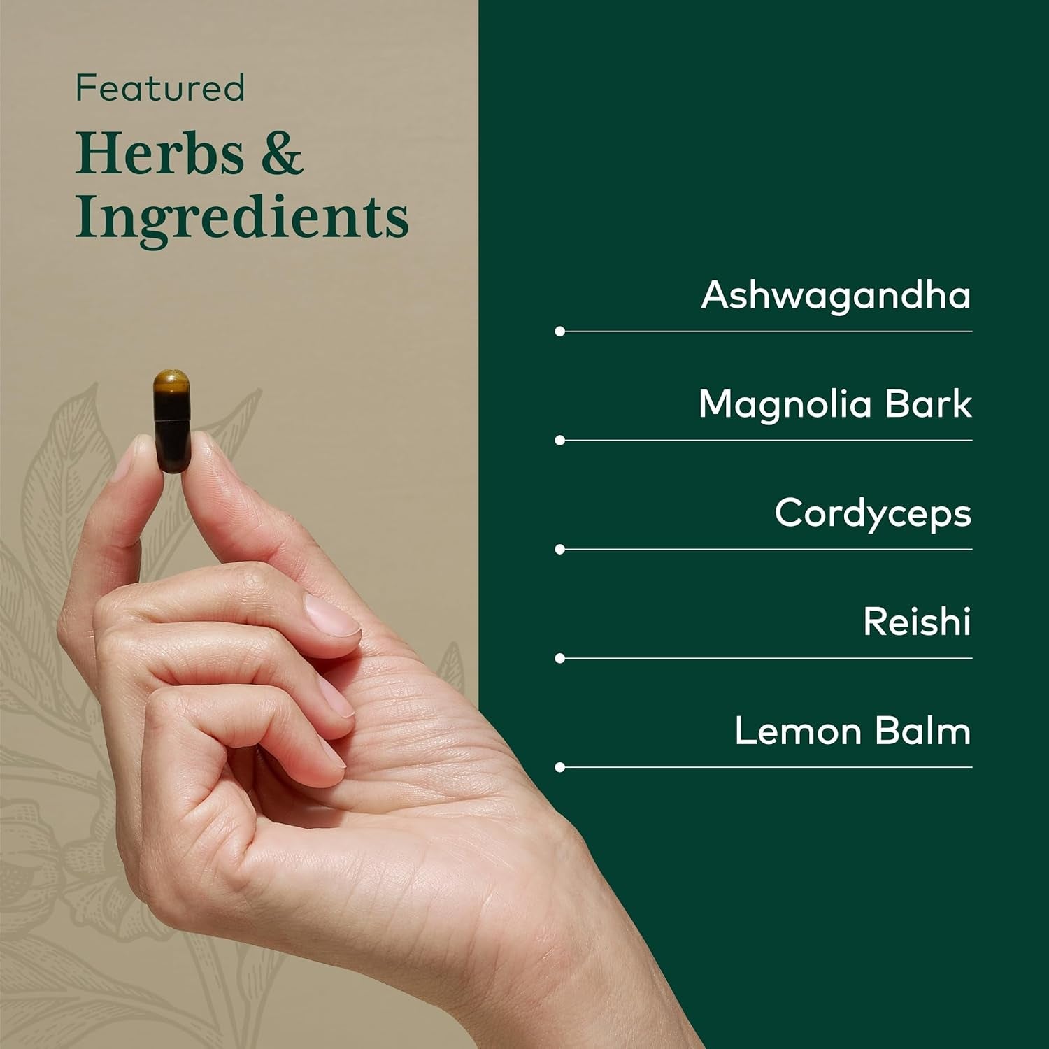 Gaia Herbs Pro Nighttime HPA - Restorative & Healthy Sleep Support Supplement (60 Servings)