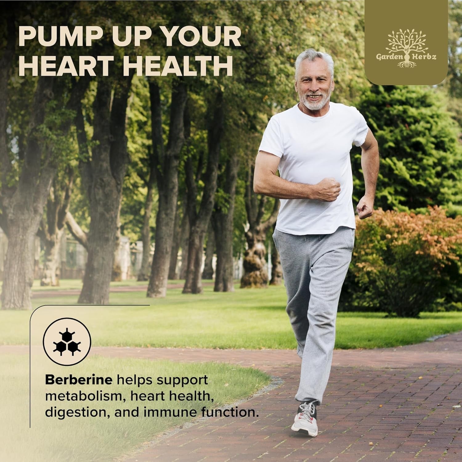 600 Mg Berberine Supplement – Berberine HCL & Ceylon Cinnamon Capsules