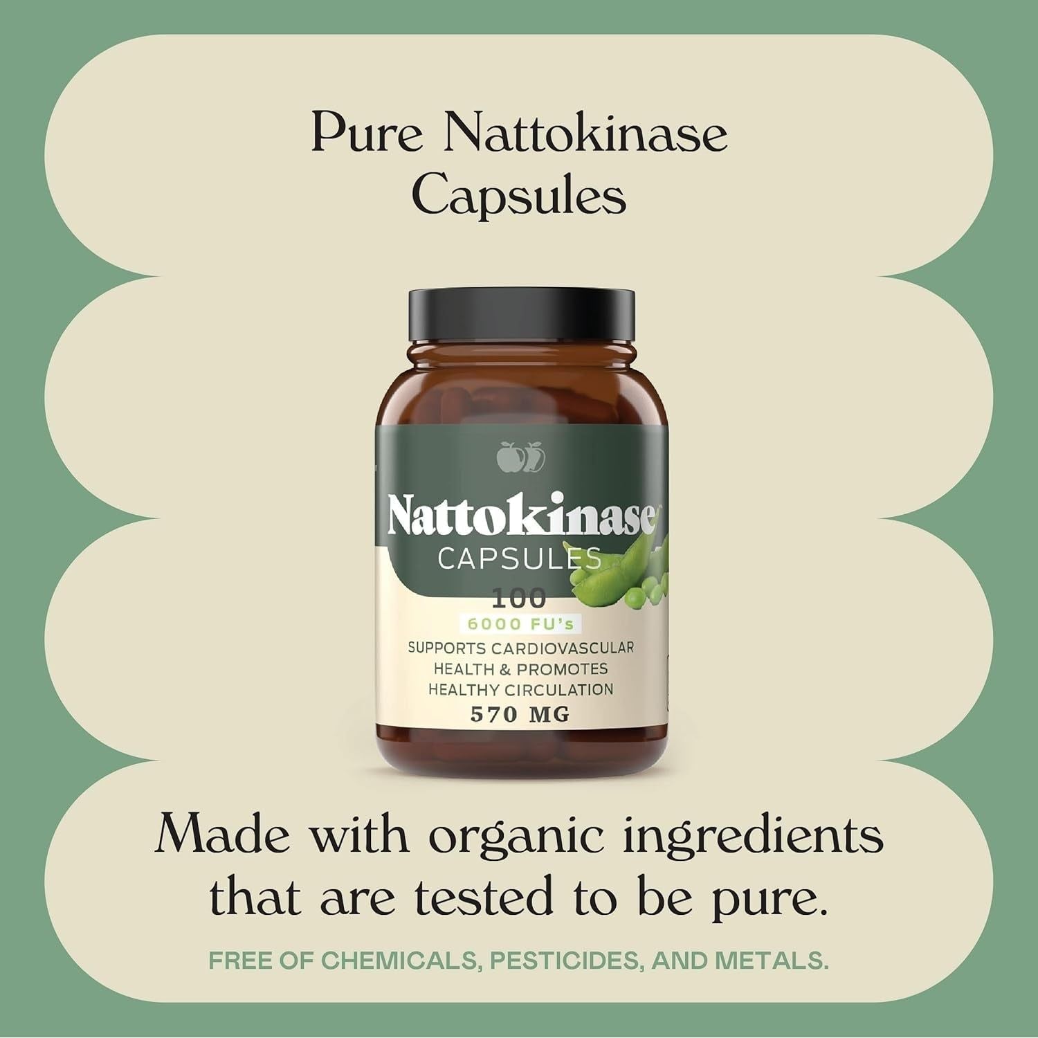 Complete Natural Products Nattokinase Capsules - 100 Count 570Mg 6000Fu'S