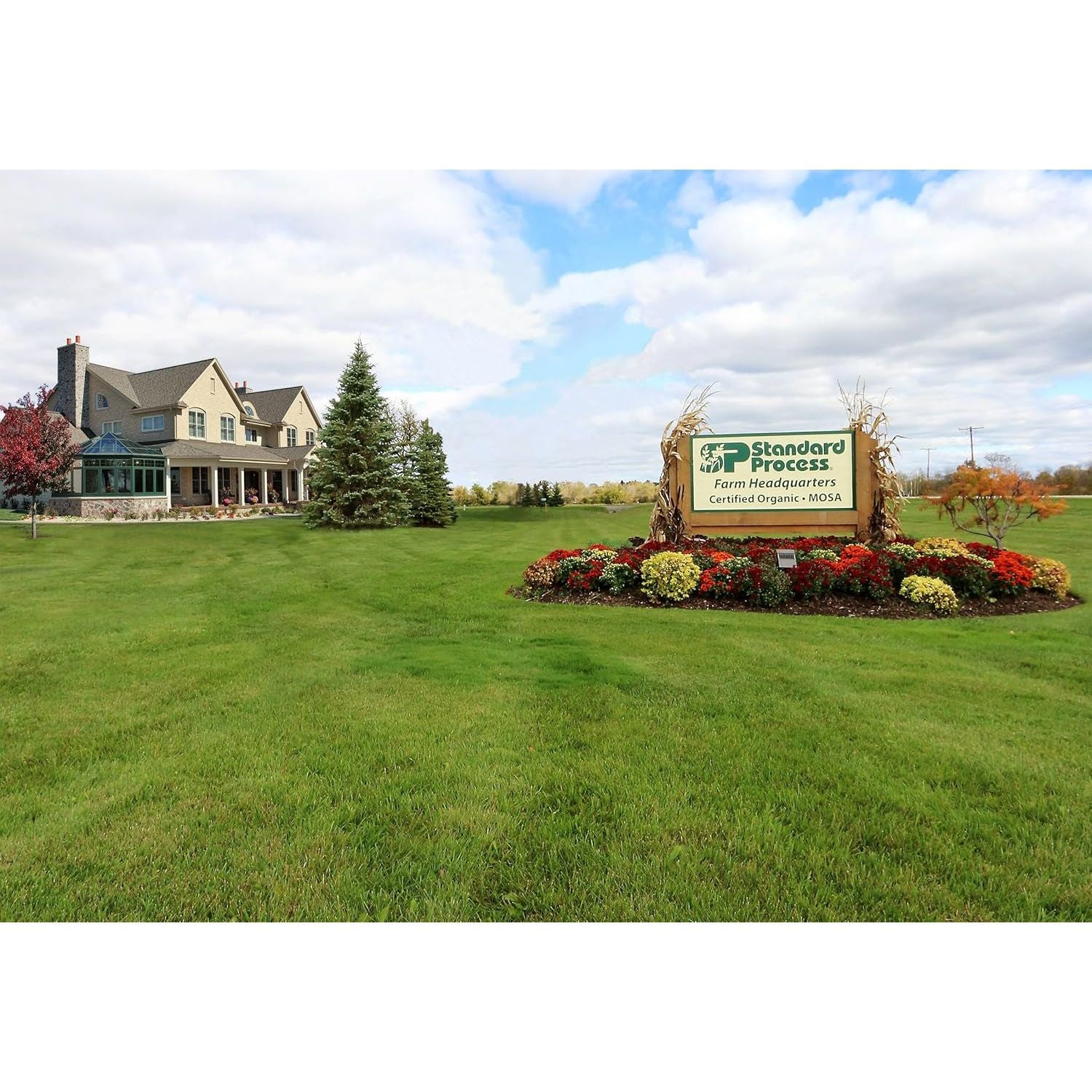 Standard Process Inc. Albaplex - Immune, Kidney & Liver Support 90 Capsules