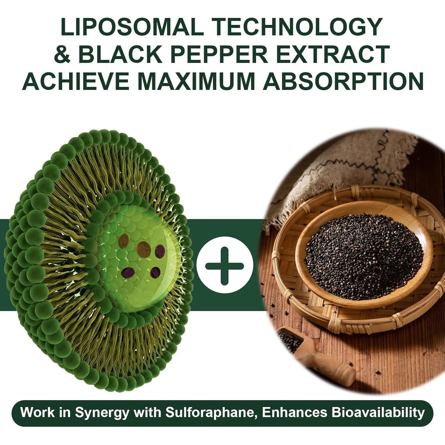 900MG Liposomal Sulforaphane Supplement Broccoli Extract, Liver Supplement for Antioxidant, Digestion, Cellular Health 60 Capsules