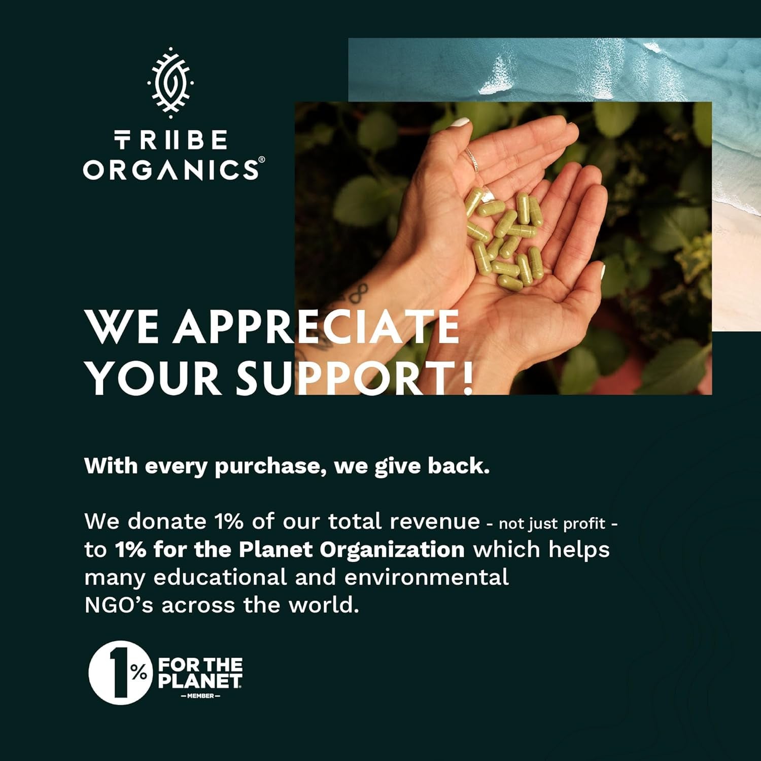 TRIBE ORGANICS 1800Mg Organic Moringa Oleifera Powder for Energy | Joints | Brain Function - 120 Vegan Capsules