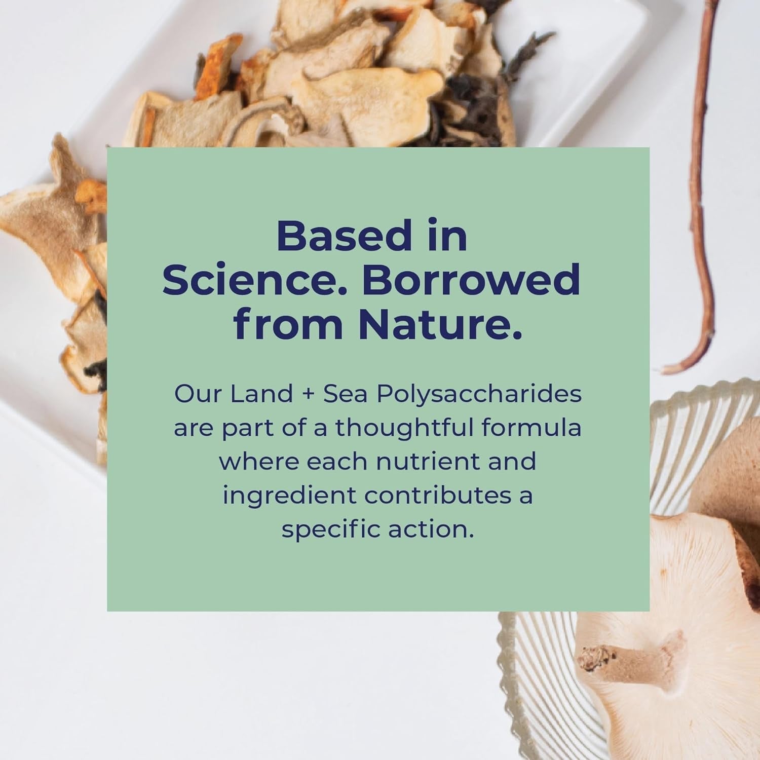 Simplix | Natural Supplement to Strengthen the Immune System | Respond to Outbreaks 60 Veggie Capsules