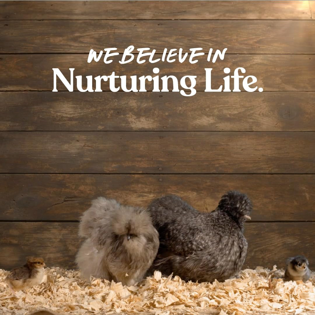 Manna Pro Chicken Feed Supplement | Omega Egg Maker Chicken Supplies 5 Pounds