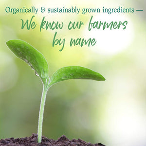 Garden of Life Raw Organic Perfect Food Energizer Juiced Green Superfood Powder 30 Servings, 9.73 Oz