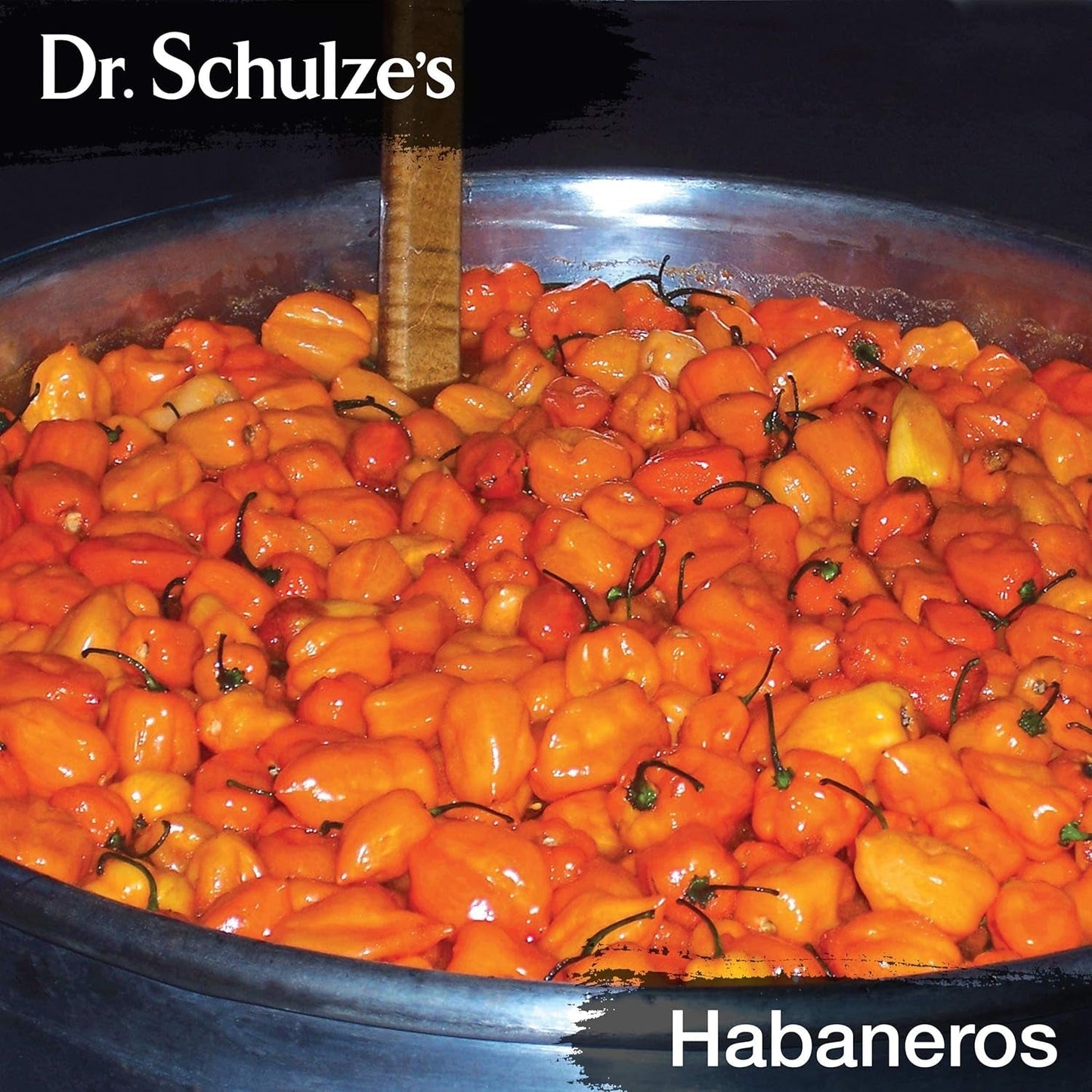 Dr. Schulze'S Brain Formula 2 Oz. - Stimulates Circulation and and Improved Mental Focus