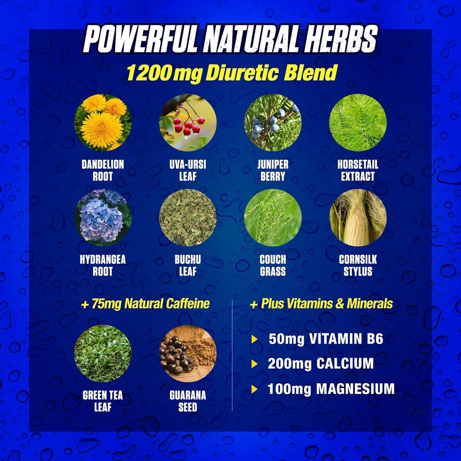 Maximum Human Performance Xpel Maximum Strength Diuretic Water Pills 80 Capsules