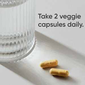 Sports Research Berberine - Herbal Ayurvedic Metabolic Health Support - 1000 Mg - 60 Capsules