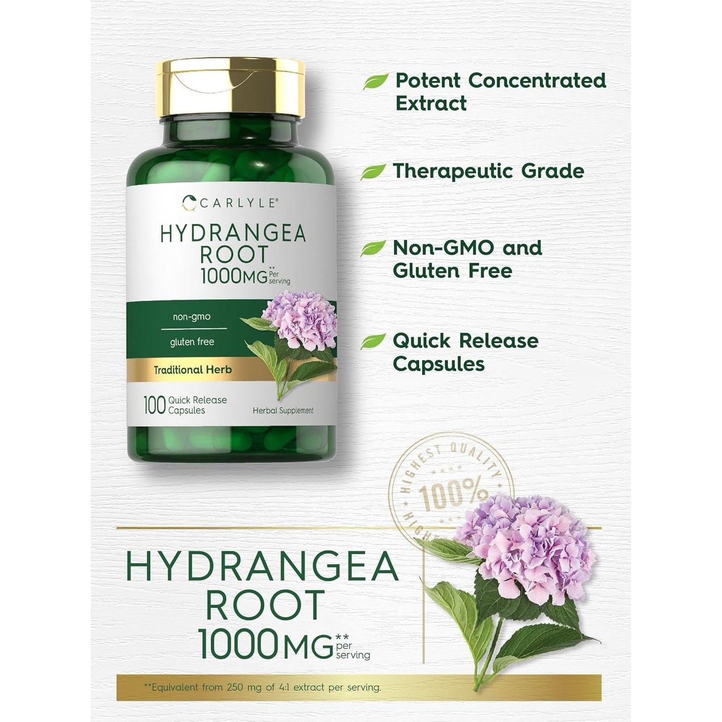 Carlyle Hydrangea Root Capsules | 1,000Mg | 100 Count | Non-Gmo, Gluten Free Extract