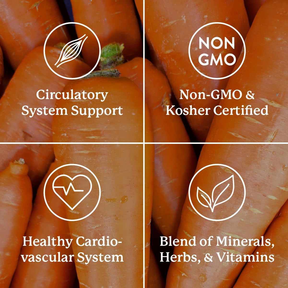 Nature'S Sunshine Mega-Chel, Complete Vitamin with Powerful Antioxidants, Herbs, Vitamins, Minerals, and Amino Acids 120 Tablets