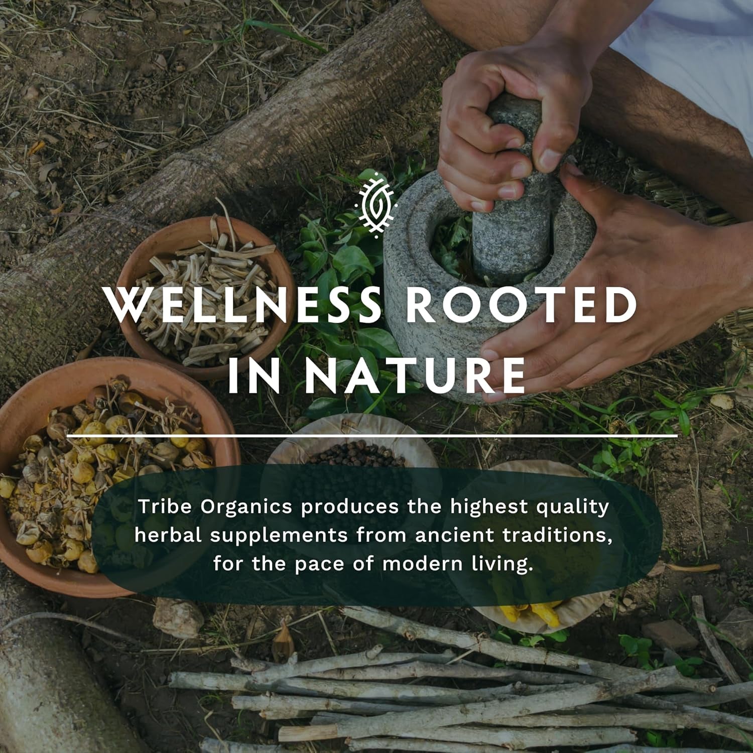 TRIBE ORGANICS 1800Mg Organic Moringa Oleifera Powder for Energy | Joints | Brain Function - 120 Vegan Capsules