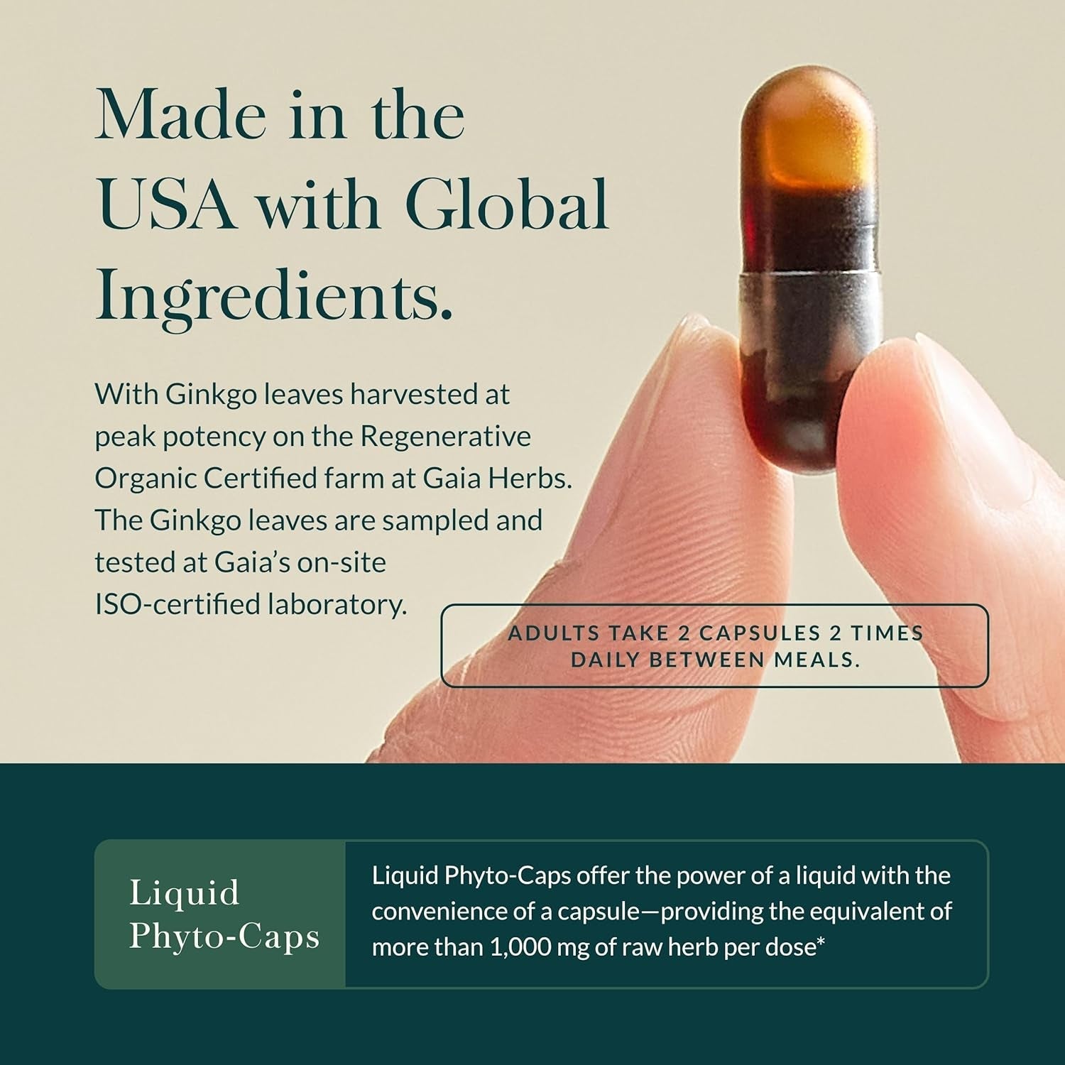 Gaia Herbs Mental Alertness - Brain Support Supplement to Help Maintain Focus & Memory* 60 Capsules