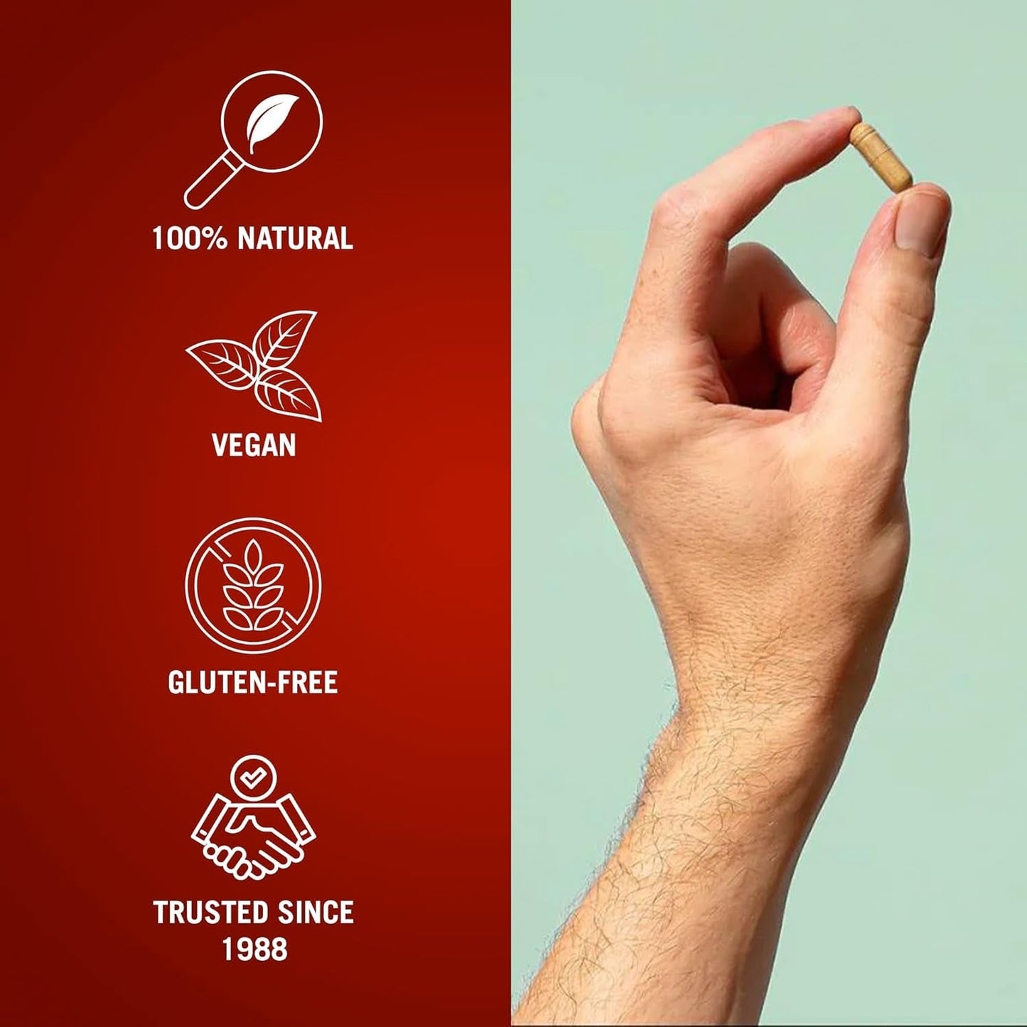 Century Systems the Cleaner Detox, Powerful 7-Day Complete Internal Cleansing Formula for Women, 52 Capsules