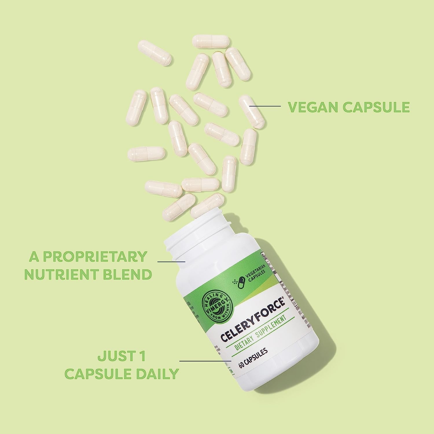 Vimergy Celeryforce – Nutrients and Amino Acids – Supports Your Wellness Routine  – 60 Capsules