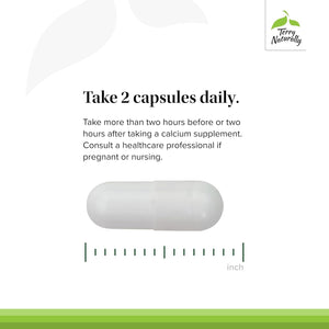 Terry Naturally Strontium - Bone Health & Strength Support Supplement - 60 Capsules