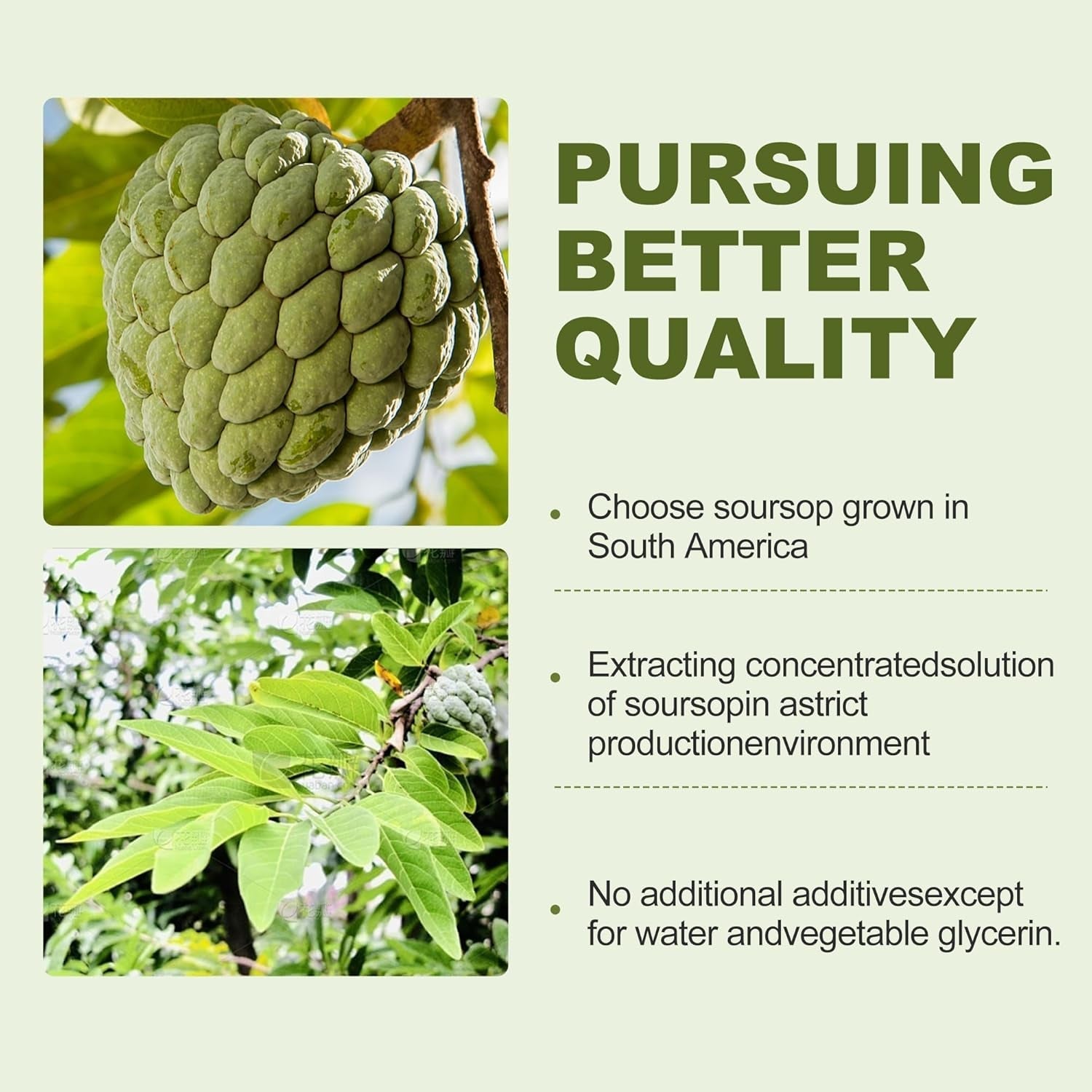 Soursop Graviola Liquid Drops 2000Mg - Immune Boost, Cell Support & Regeneration 2 Fl Oz