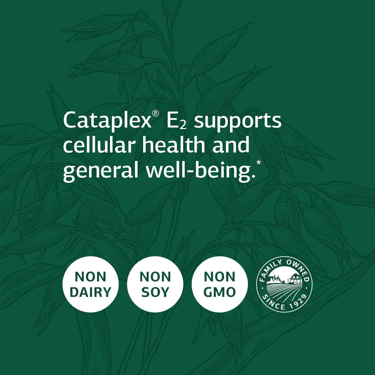 Standard Process Cataplex E2 - Whole Food Heart Health and Antioxidant 360 Tablets