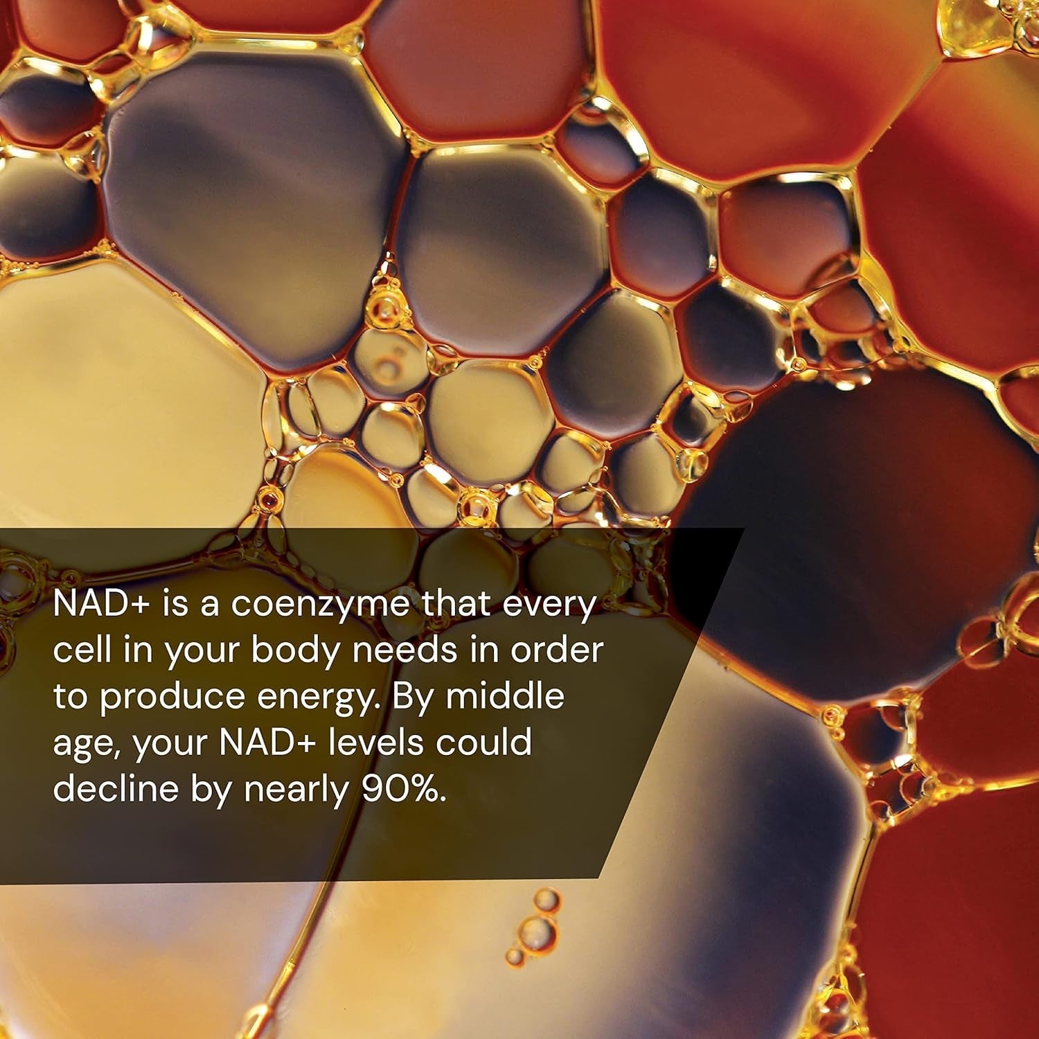 Novex Biotech Oxydrene NAD+ Enhancer - Natural Supplement Promoting Metabolism and Cardiovascular Support - (60 Capsules)