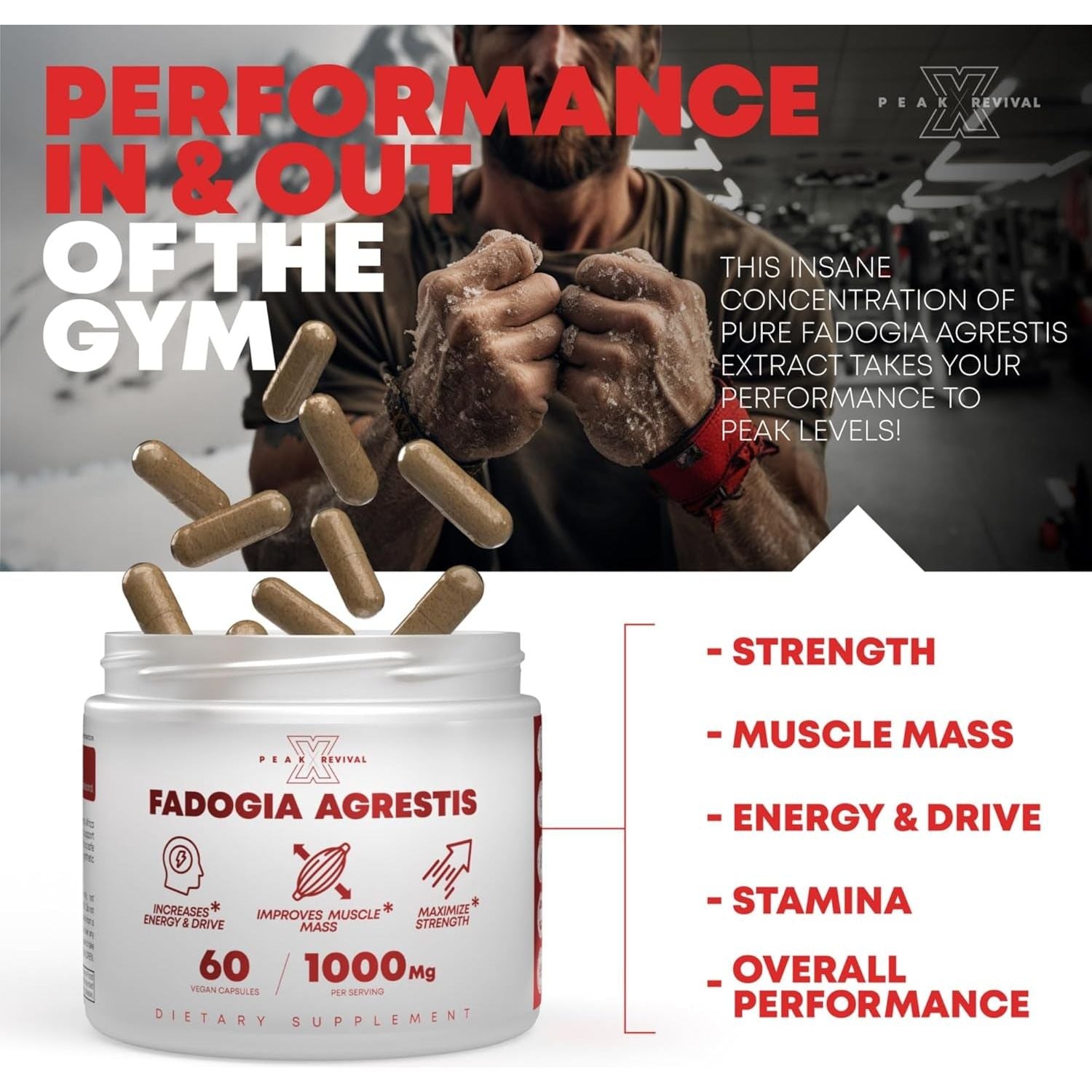 Fadogia Agrestis 1000Mg per Serving Supplement to Increase Energy, Athletic Performance & Muscle Mass (60 Capsules)