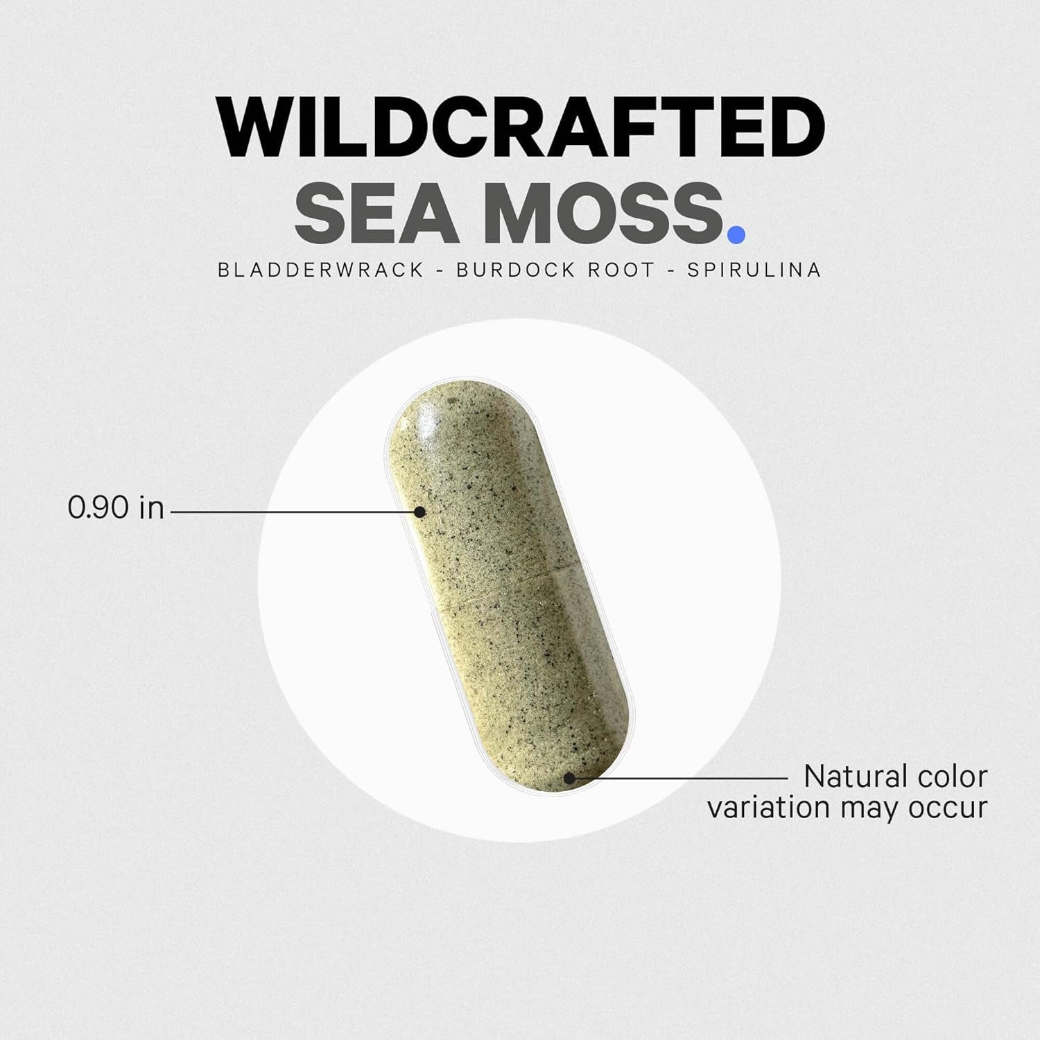 Codeage Raw Wildcrafted Irish Sea Moss Supplement, 120 Capsules