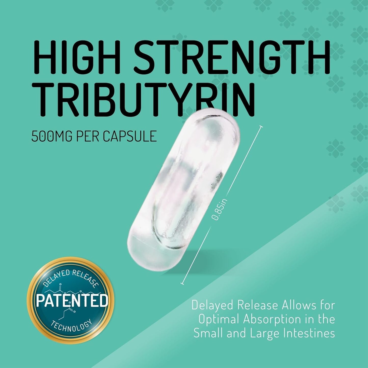 Complete Biotic - Postbiotic Tributyrin Supplement - Postbiotics for Gut Health - Butyrate Gut Health Supplement