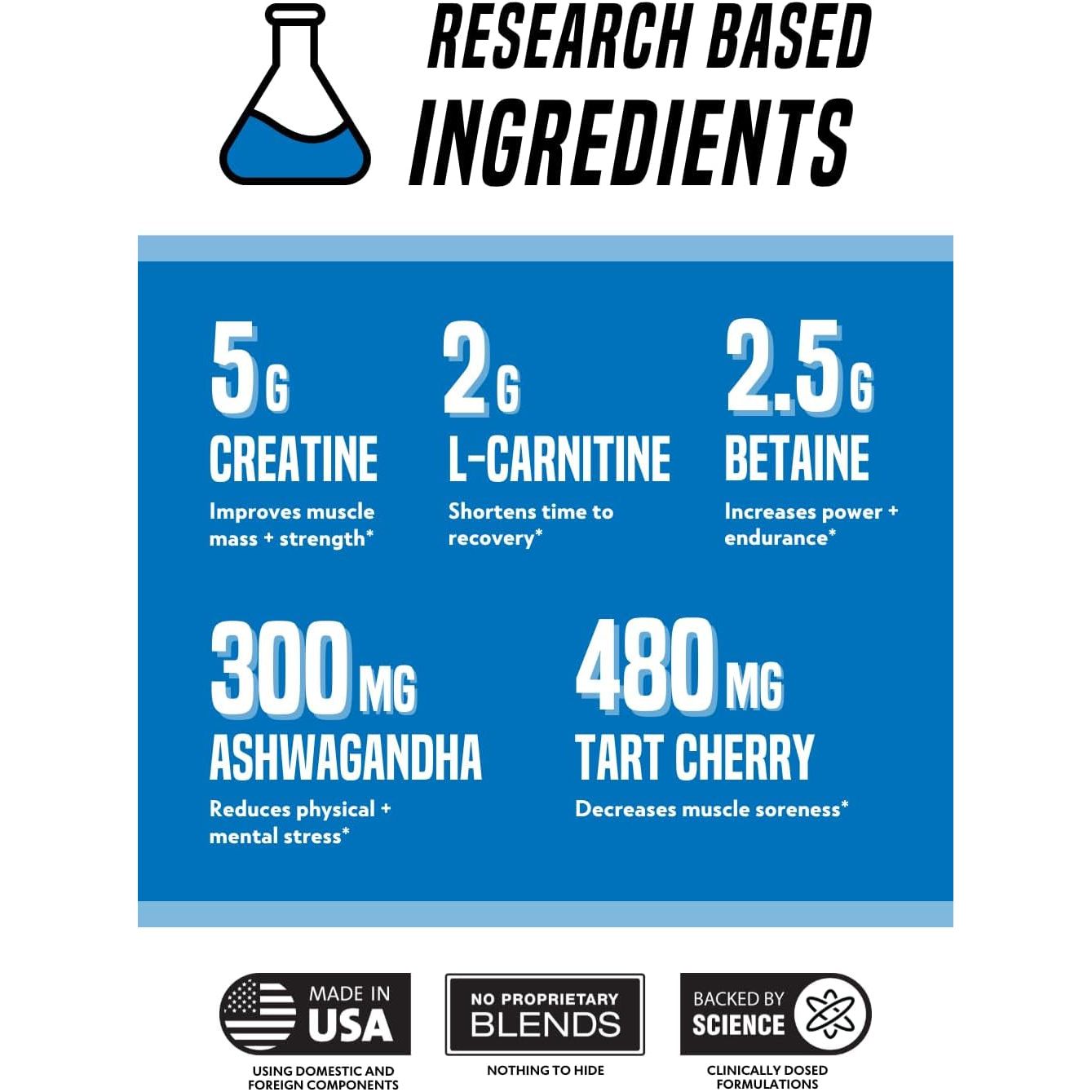 Outwork Nutrition Recovery Supplement, Post Workout Recovery Powder & Muscle Builder, Berry Splash, 240 Grams