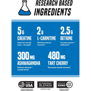 Outwork Nutrition Recovery Supplement, Post Workout Recovery Powder & Muscle Builder, Berry Splash, 240 Grams