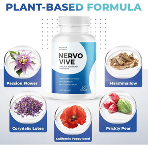 Nervovive Nerve Support Supplement - All Natural Advanced Formula for Overall Health and Wellness - 60 Capsules
