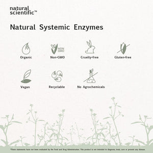 Natural Systemic Enzymes - Proteolytic Enzymes for Inflammation - 30 Capsules